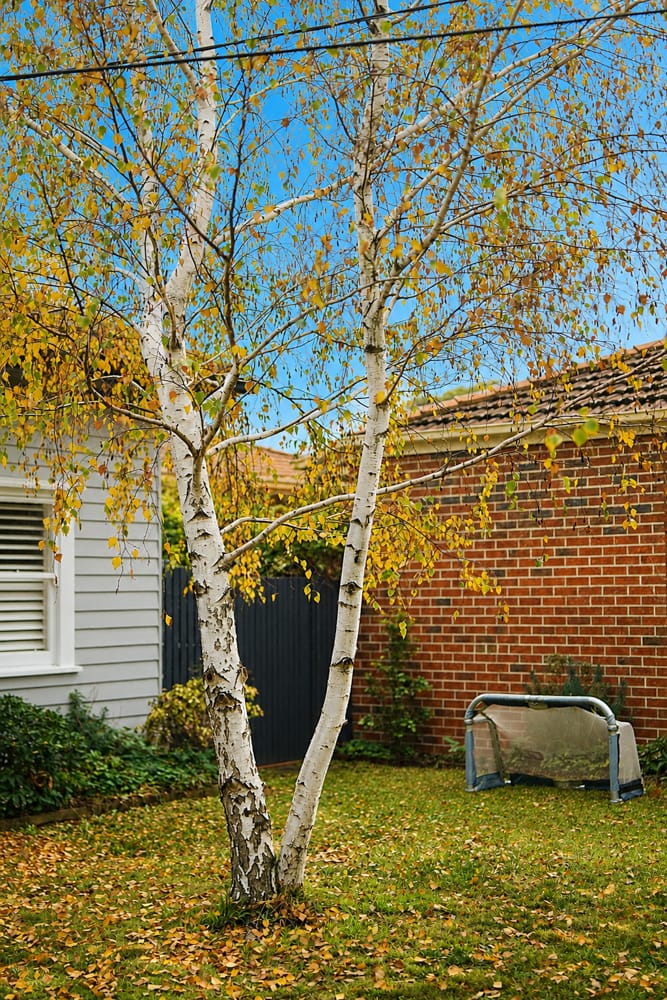 Twilight property photography Melbourne